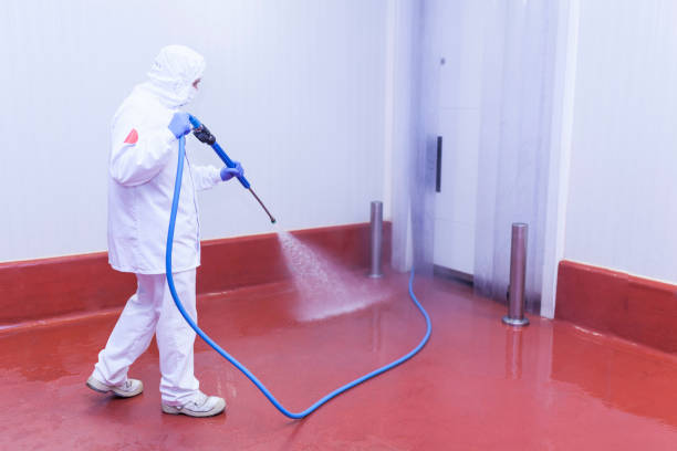 Professional Pressure Washing in Robersonville, NC